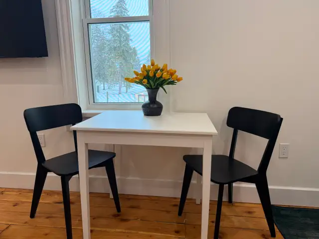 Newly Renovated, Fully Furnished 1-Bedroom in Cargill - Photo 4