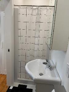 Newly Renovated, Fully Furnished 1-Bedroom in Cargill - Photo 5