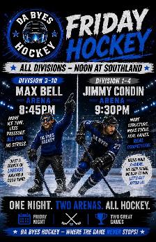 shinny / hockey