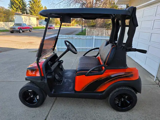 Custom Lithium Golf Cart - Photo 4