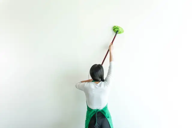 Independent House Cleaners: FILL YOUR DAY WITH CLEANING JOBS! - Photo 2