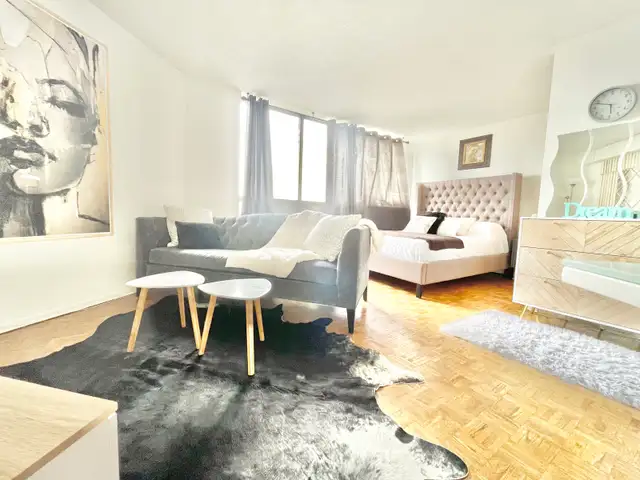 Furnish Studio/Loft Apartment Cable, Net, Utils Inc. &nbsp. - Photo 2