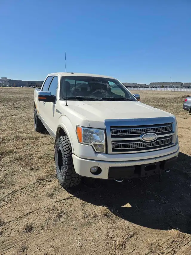 2009 F-150 platinum