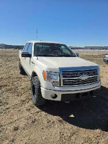 2009 F-150 platinum