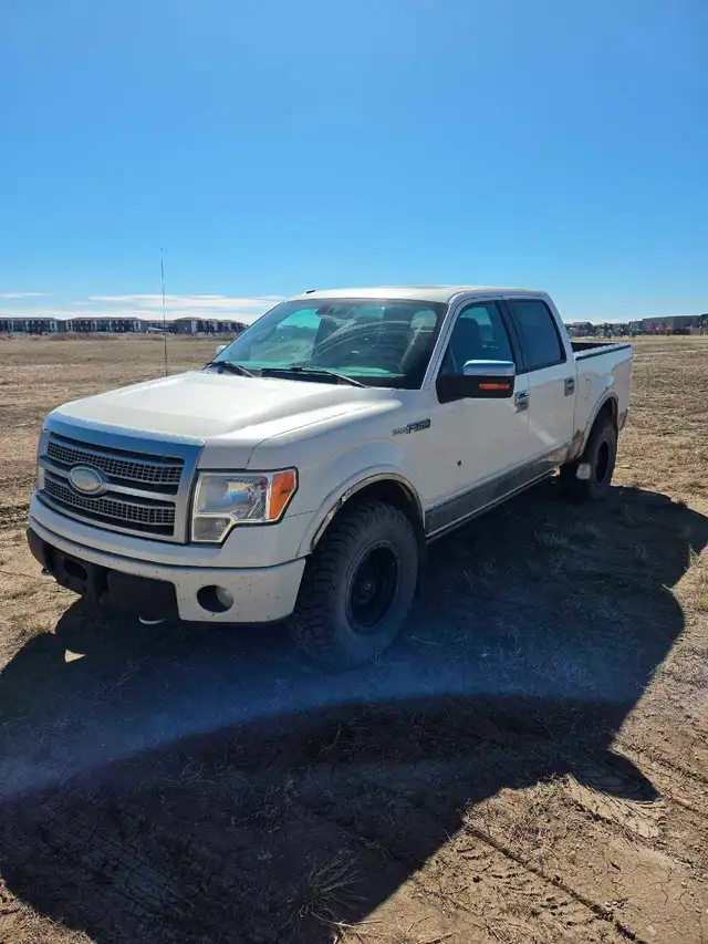 2009 F-150 platinum - Photo 2
