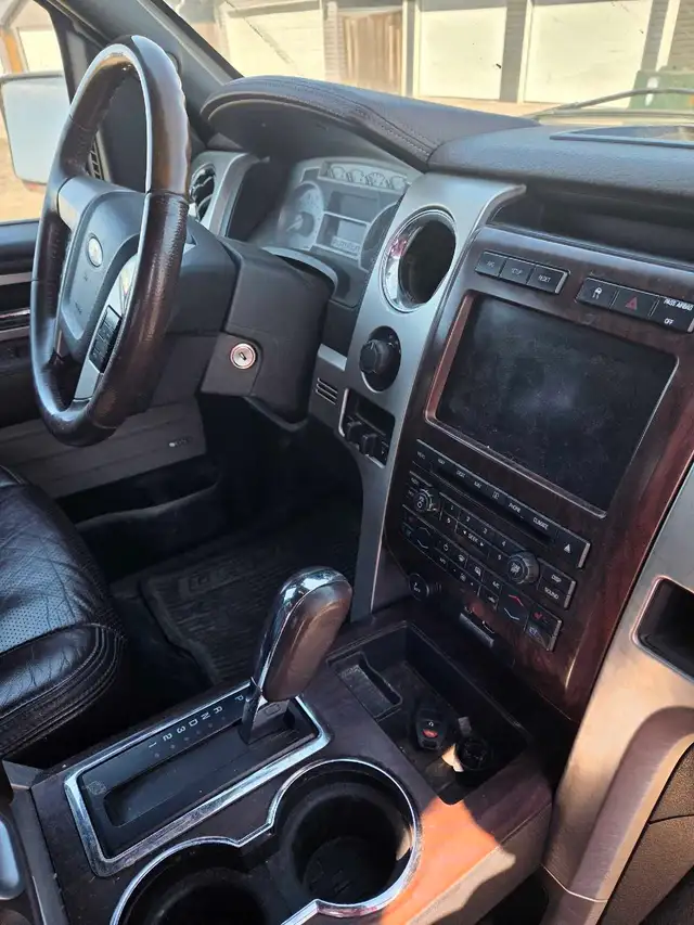 2009 F-150 platinum - Photo 4