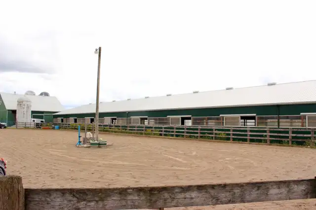 Indoor and Outdoor Horse Board - Photo 2