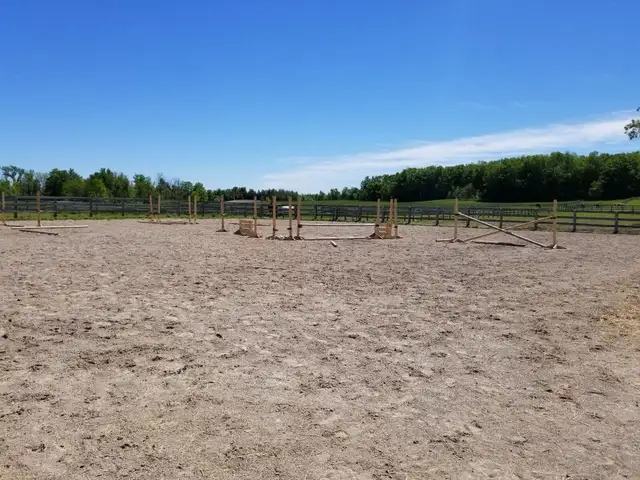 Indoor and Outdoor Horse Board - Photo 3