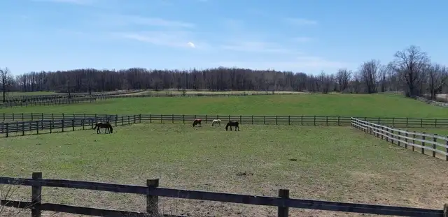 Indoor and Outdoor Horse Board - Photo 4