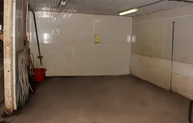 Indoor and Outdoor Horse Board - Photo 6