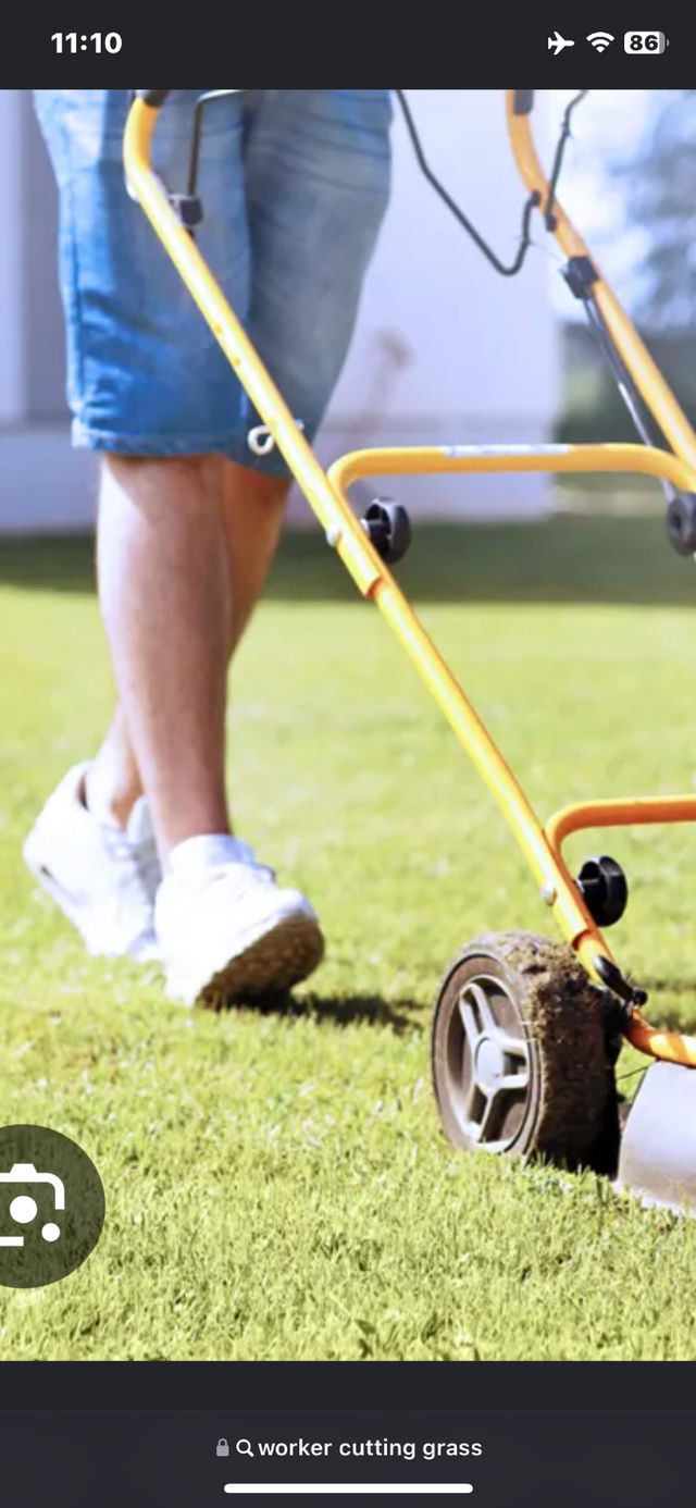 I am seeking yard clean up and grass cutting jobs u of a area