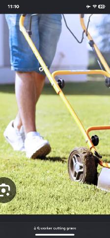 I am seeking yard clean up and grass cutting jobs u of a area