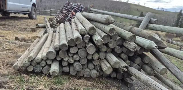 Wooden Fence Posts for Sale - Photo 5