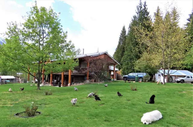 In Burton BC 2.29 Acres 4Bd Home - Photo 2