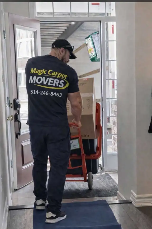 magic carpet movers - Photo 3