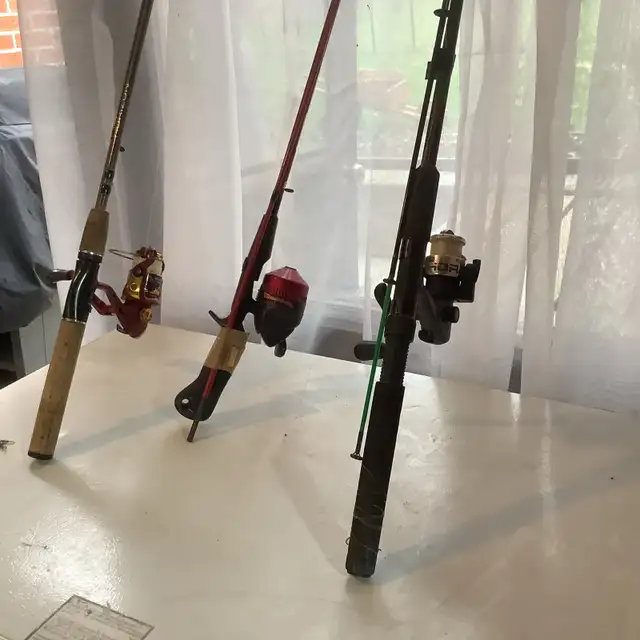 spinning rod and reels