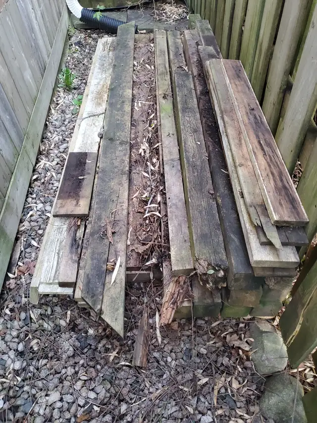 FREE...Lumber and Lumber Cut-offs - Photo 2
