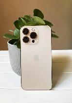 unlocked iphone 13 pro (256GB)1-Year warranty