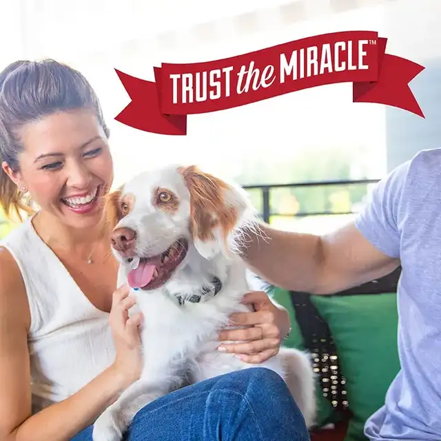 Nature's Miracle Skunk Odor Remover - Photo 5