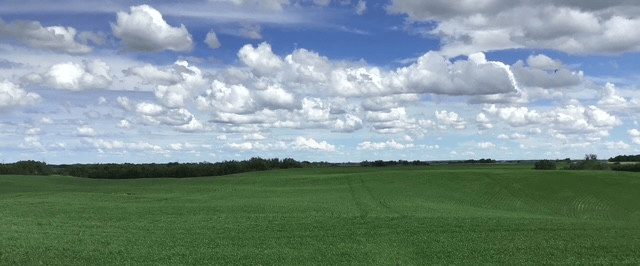 1,085 Acres For SaleTwo Hills Alberta - Photo 3