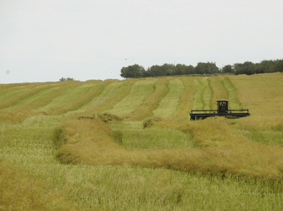 1,085 Acres For SaleTwo Hills Alberta - Photo 4