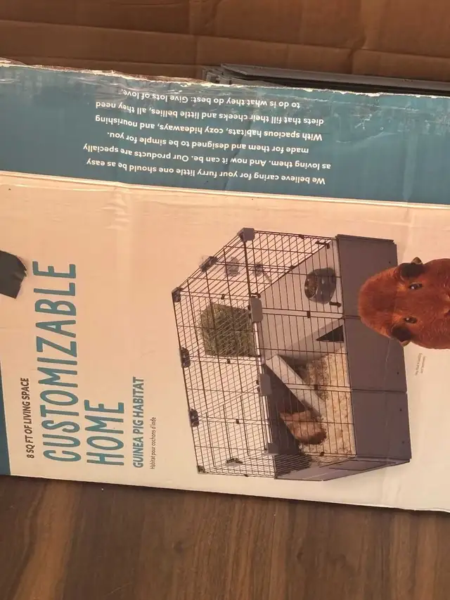 Guinea Pig Cage