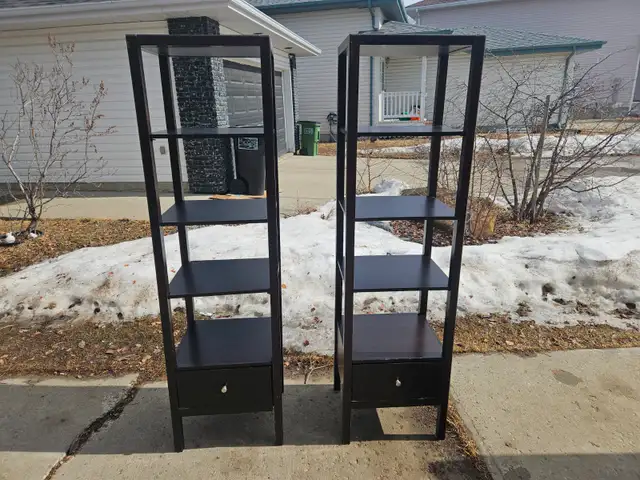 Shelves (Two) $125. Delivery Available