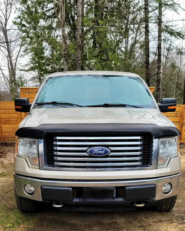 2010 ford 150 8 cyc automatic pickup
