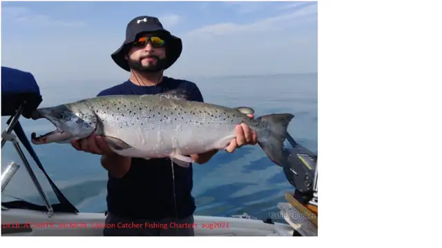 Salmon Catcher Fishing Charters - Photo 5