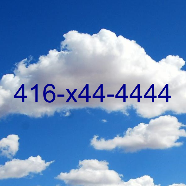Destroy Your Competitors When you have Toronto 416 Number