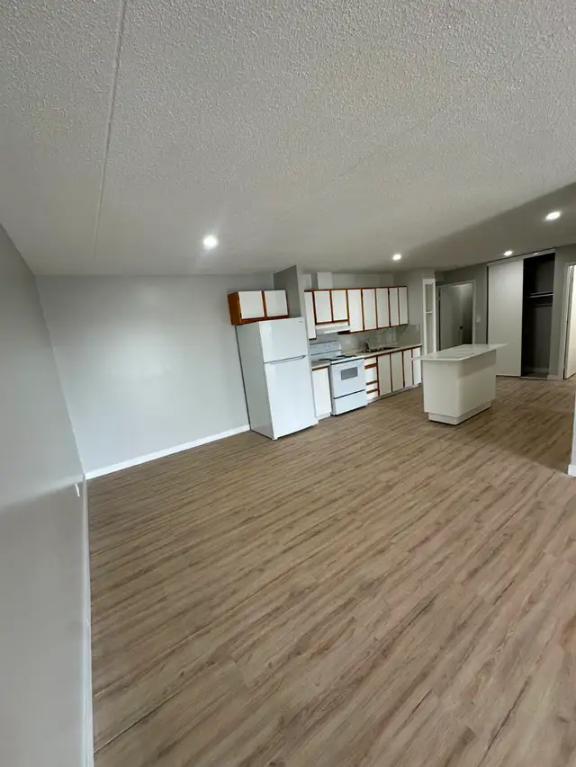 Two Bedroom Available May 15 in Minnow Lake - Photo 2