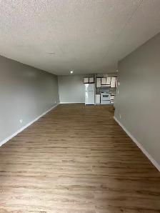 Two Bedroom Available May 15 in Minnow Lake - Photo 4