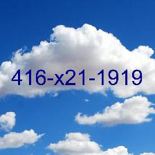 Say 416 Toronto Phone Numbers of your choice are available