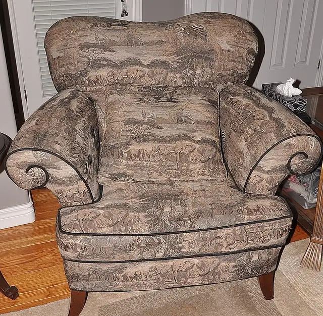 Safari Pattern Chair. - Photo 2