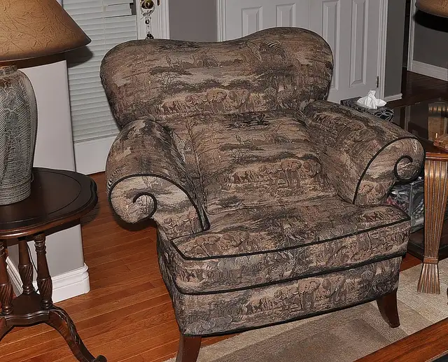 Safari Pattern Chair. - Photo 3