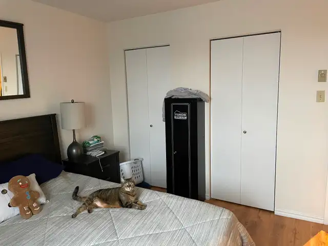 4 1/2 Vimont Laval 1290$ disponible 1er juillet - Photo 2