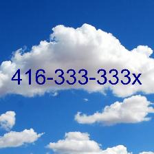 ViP Super Easy Phone Number Impossible to have 416 number