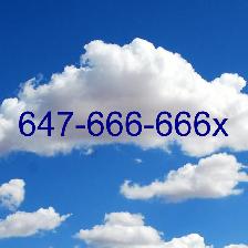 WoW Prestige Toronto 416 647 Numbersfor you