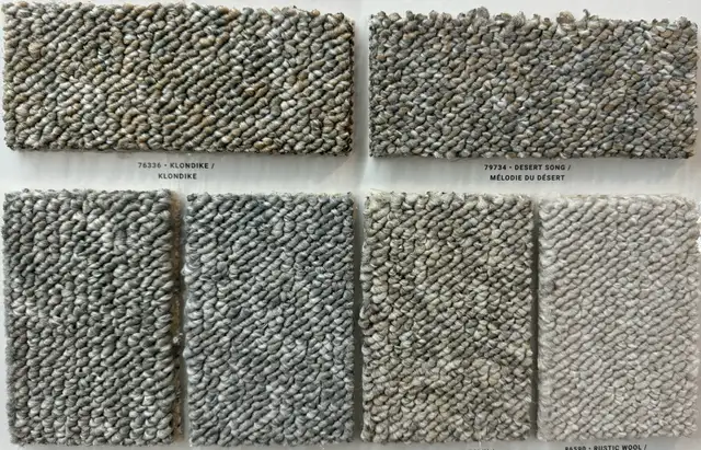 Berber Carpet with pad & installation 3.49/sf - Photo 3