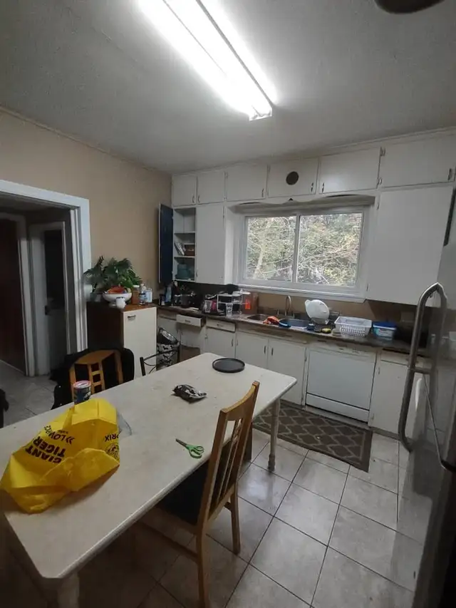 1 Bed and 1 Bath - Room For Rent!! - Photo 3