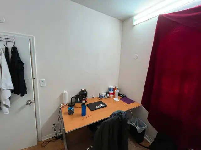 1 Bed and 1 Bath - Room For Rent!! - Photo 6