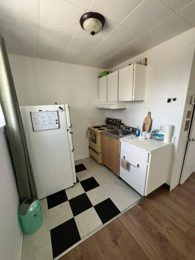 3 rue Pharand - 3-15 Apartment for Rent - Photo 2