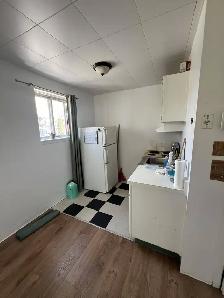 3 rue Pharand - 3-15 Apartment for Rent - Photo 3