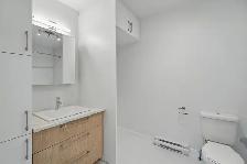 LE CIRIUS - 152-104 Apartment for Rent - Photo 14
