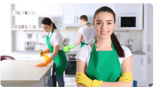Looking for House Cleaners