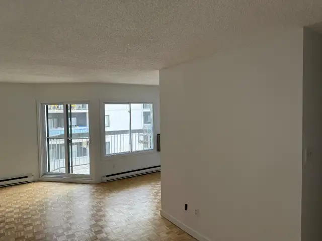 Lumineux 3 1/2 fraîchement rénové/ Bright 3½ for Rent - Photo 3