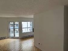 Lumineux 3 1/2 fraîchement rénové/ Bright 3½ for Rent - Photo 3