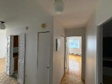 Lumineux 3 1/2 fraîchement rénové/ Bright 3½ for Rent - Photo 6