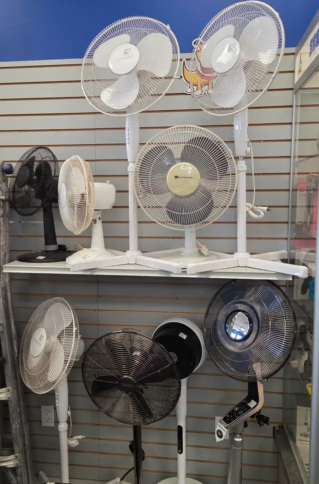 Oscillating House Fans @ Cashopolis!!