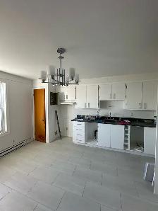 5 1/2 À LOUER MERCIER / HOCHELAGA-MAISONEUVE